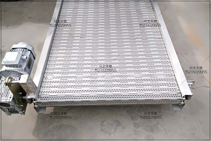 鏈板輸送機